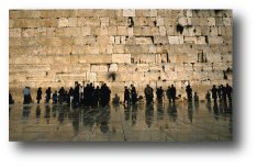 wall